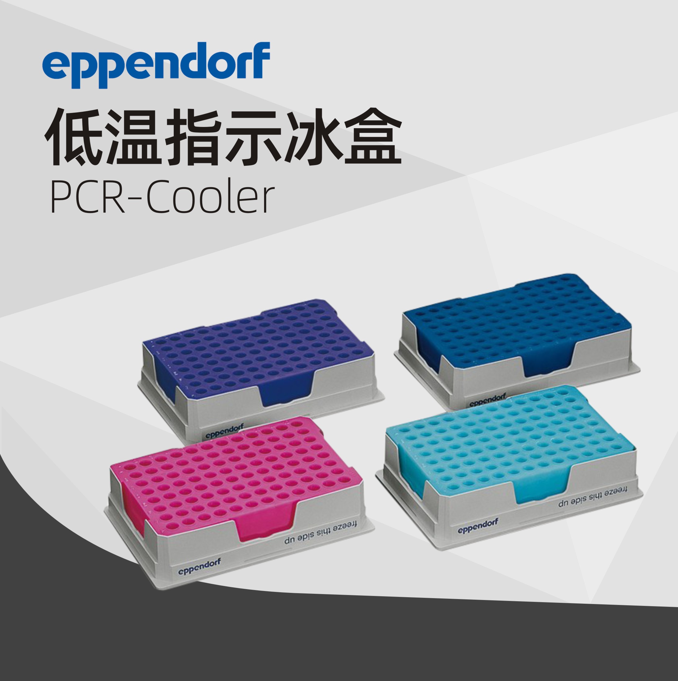 德國艾本德Eppendorf PCR-Cooler (0.2 mL) 低溫指示冰盒啟動(dòng)套裝
