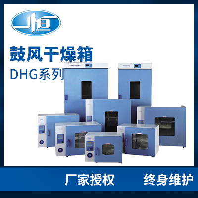 上海一恒DHG-9245A鼓風(fēng)干燥箱 鼓風(fēng)干燥箱 干燥箱